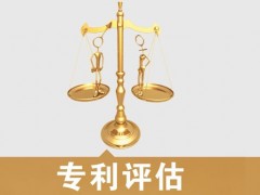 專利的價(jià)值評(píng)估，新手賣家必看